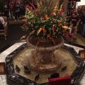 We saw the ducks at The Peabody Hotel! They swim in the fountain all day and then roll out the red carpet so they can go home & sleep.